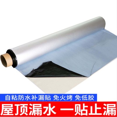 Factory Direct Sales Non-Asphalt Waterproof Coiled Material Fire-Free Baking Waterproof Coiled Material National Standard Roof Waterproof Material