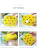Silicone Loofah,Shower Brush for Kids Teens Toddle,Silicone Sponge Bath Body Face Hair Head Massaging Spa Loofa Scrubbe 