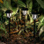 Cross-Border New Solar Lamp Outdoor Yard Lamp Lawn Lamp Garden LED Decorative Lamp Waterproof Villa Ground Lamp