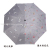Tongzhou Umbrella Industry Water-Changing Sun Umbrella Folding Color-Changing Magic Umbrella Vinyl Parasol Tri-Fold