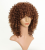 European and American Style Wig Head Cover African Afro Wig Small Volume Medium Length T Color Brown High-Temperature Fiber Synthetic Wigs