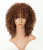 European and American Style Wig Head Cover African Afro Wig Small Volume Medium Length T Color Brown High-Temperature Fiber Synthetic Wigs