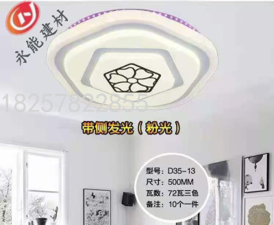 Led Modern Simple and Fresh Ceiling Lamp