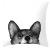 Gm229 Black and White Animal Pillow Cover Dog Cat Pillow Cover Home Sofa Cushion Cushion Cover Cross-Border New Arrival