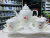 Ceramic Bone China Coffee Cup Drinking Ware Tea Cup Set