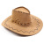 Western Cowboy Hat Knight's Cap Men's and Women's Sun Hats Outdoor Masquerade Performance Cap Suede Cowboy Hat