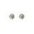 High-Grade Rose Stud Earrings 2020 New Small and Versatile Elegant Earrings French Retro Flower Silver Pin Earrings