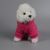 Cross-Border Suppliers Autumn and Winter Dog Clothes Hooded Pet Sweater Pet Clothing Supplies Sportswear Pet Sweater