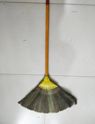 Broom Broom Vietnam Broom Phoenix Tail Broom Mango Broom