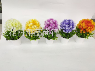 2020 nian New Style White Basin Color Pine Flower Bonsai Family Decoration Flowers Preserved Fresh Flower