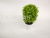 New Style White Basin Green Value Tree Artificial Flower Bonsai Living Room Decorations Fake Flower and Plastic Flower