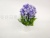 2020 nian New Style White Basin Color Pine Flower Bonsai Family Decoration Flowers Preserved Fresh Flower