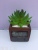 Simulation Bonsai Cement Pots Succulent Simulated Plants Fake/Artificial Flower Small Pot Plant Decorative Plant