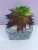 Small Pot Plant Simulation Succulent Simulated Plants Decoration Fake Flower Small Bonsai