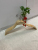 Solid Wood Non-Slip Wooden Hanger Adult Home Use Seamless Clothing Store Special Pant Rack Clothes Hanger Children's Splint Hanger Trouser Press