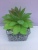 Small Pot Plant Simulation Succulent Simulated Plants Decoration Fake Flower Small Bonsai