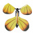 New Flying Small Butterfly Puffed Butterfly Free Butterfly New Exotic Children's Magic Props Toy Manufacturer Approval