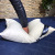 Factory Direct Sales Pillow Core Five-Star Hotel Pillows WeChat Hot-Selling Factory Delivery