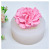 DIY Baking Mold 3D Three-Dimensional Carnation Cake Chocolate Brickearth Aromatherapy Handmade Soap Silicone Mold