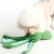 Cross-Border Molar Sound Pet Plush Toy Fun Octopus Dog Plush Toy Customizable