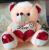 Holding-Heart Bear Sitting Version Hugging Star Bear Teddy Bear Valentine's Day Gift Plush Toy