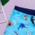 Korean Cartoon Swimsuit European and American Children's Swimming Trunks Shark Print Swimsuit Foreign Trade Factory Wholesale
