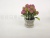 New Pulp Basin Lavender Bubble Grass Artificial Plant Bonsai Small Flower Plastic Bonsai