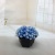 Mini Artificial Bonsai Flower Small Potted Factory Direct Sales Artificial Flower Plant