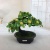 Mini Artificial Bonsai Flower Small Potted Factory Direct Sales Artificial Flower Plant