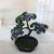 Mini Artificial Bonsai Flower Small Potted Factory Direct Sales Artificial Flower Plant