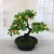 Mini Artificial Bonsai Flower Small Potted Factory Direct Sales Artificial Flower Plant