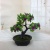 Mini Artificial Bonsai Flower Small Potted Factory Direct Sales Artificial Flower Plant