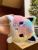 Face-Changing Unicorn Cat Doll Double-Sided Flip Doll Plush Toy