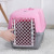 Pet Flight Case Dog Carrying Case Cat Check-in Suitcase out Travel Convenient Box Teddy Aircraft Cage