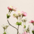 Artificial Flower Single Small Flower Branch Wedding Home Furnishing Ornamental Flower Plastic Flower & Branch Idyllic and Retro Artificial Silk Flower Manufacturer