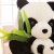 Factory Wholesale Sales Plush Toy Panda Hug Cute Gift Pillow for Girl Large Cartoon Doll Toy