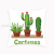 Nordic Plant Short Plush Digital Printed Pillowcase Sofa Cushion Bed Ornament Pillow Car Back