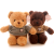 Plush Toy Teddy Bear Doll Cartoon Doll Sweater Bear Pillow Birthday Gift
