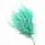 Dried Natural Fern Leaf  ,Alternative Preserved Curl fern Grass Plants Bouquet For Home Vase Flower Arrangement Decorati