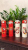 Name: JX Bouncing Thermos Cup
Color: Red · Daily Gold/