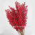 6 Fork North American Holly Chinese Hawthorn Fortune Fruit Lantern Festival Bouquet  Fork Holly Red Bean Jequirity Bean