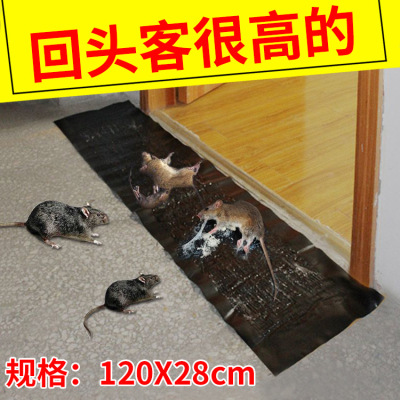 Deratization Magic Carpet Mouse Trap Sticker Mouse Sticker Non-Strong Household Rat Trap Mouse Trapping Factory Wholesale