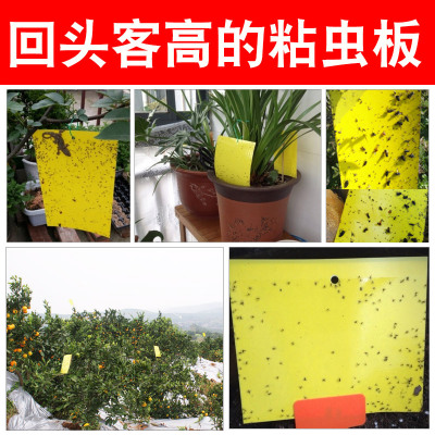 Hot Sale Double-Sided Sticky Card Yellow Board Backboard Greenhouse Orchard Tea Garden Special Yellow Insect Trap Board Multiple Specifications