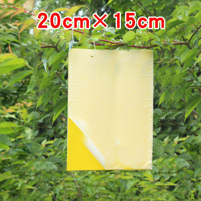 Double-Sided Sticky Card Insect Trap Board Yellow Plate Greenhouse Tea Garden Orchard Greenhouse Gardening Insect-Proof Garden Professional 20 * 15cm
