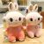Prize Claw Doll Boutique 8-Inch Crane Machines Doll Plush Toys Temple Fair Company Gift Children Doll