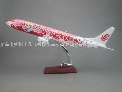 Aircraft Model (47cm China International Aviation Flower Expo Painting Machine) Abs Synthetic Plastic Fat Aircraft Model