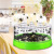 Fly Catcher Fly Killer Restaurant for Restaurant and Home Use Indoor Non-Automatic Fly Catching Machine Trapper Killer