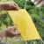Double-Sided Sticky Card Insect Trap Board Yellow Plate Greenhouse Tea Garden Orchard Greenhouse Gardening Insect-Proof Garden Professional 20 * 15cm