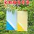 Hot Sale Double-Sided Sticky Card Yellow Board Backboard Greenhouse Orchard Tea Garden Special Yellow Insect Trap Board Multiple Specifications