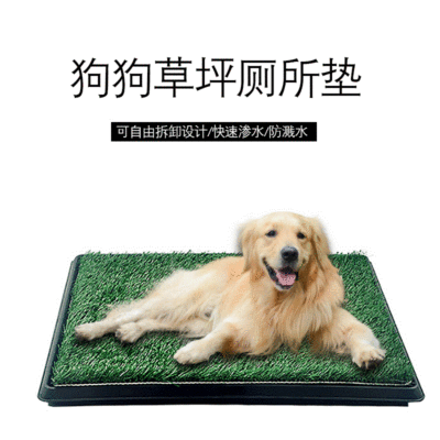 Amazon New Dog Toilet Lawn Toilet Teddy/Golden Retriever Puppy Small Dog Dog Bedpan Dog Urinal